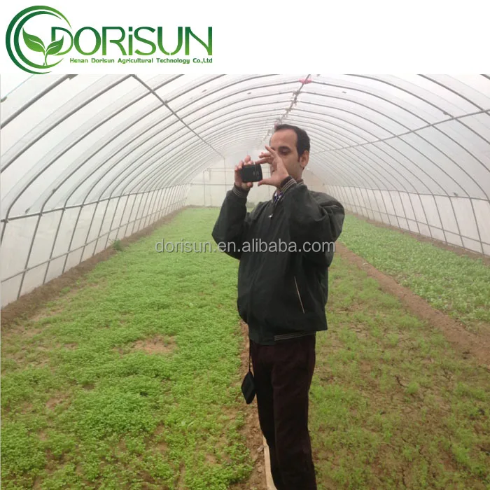 Hot single-span poly tunnel winter resistant inside sun shading greenhouse agricultural mist blower sprayer green house