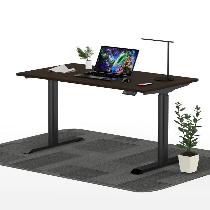 Height Adjustable Sit Stand Desk Dual Motors Modern Home Office Work Electric Adjustable Height Standing Desk Frame