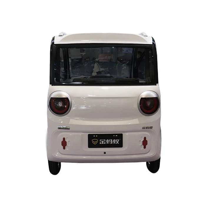mini ev cargo truck 5 kw 500km ev cargo van 2024 OEM long range ev cars FD-2 Door