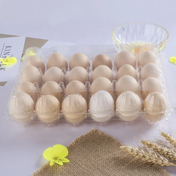 24-PET Plastic Egg Tray Blister Process for Agriculture and Food Use