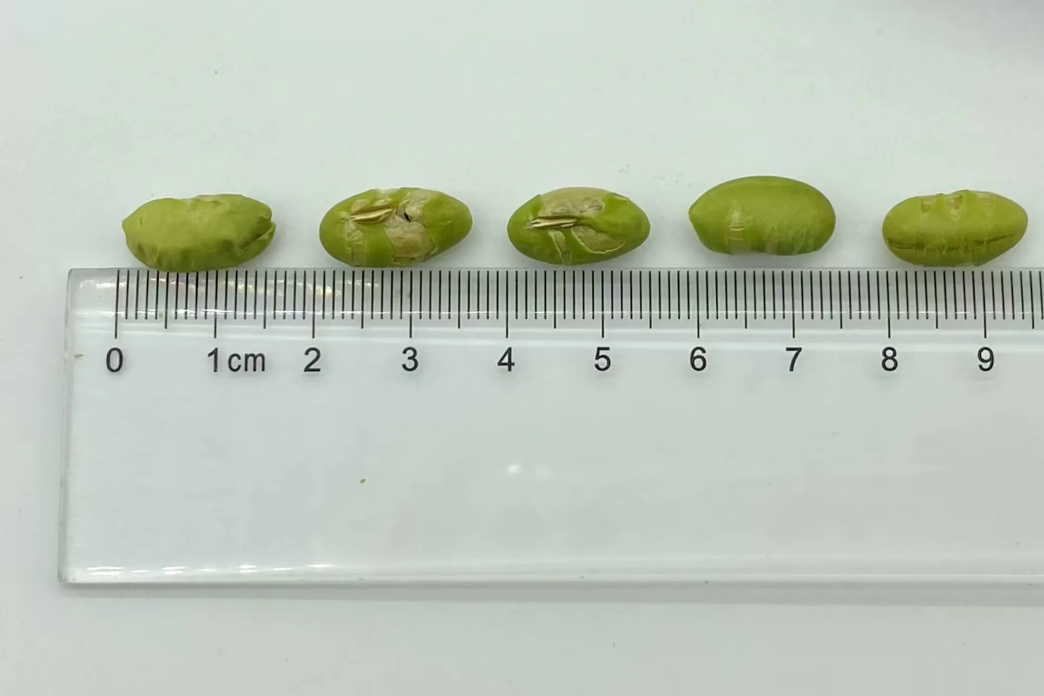 Nutritious Vegan Snack: Roasted Edamame & Green Beans - Delicious Chinese Healthy Flavor