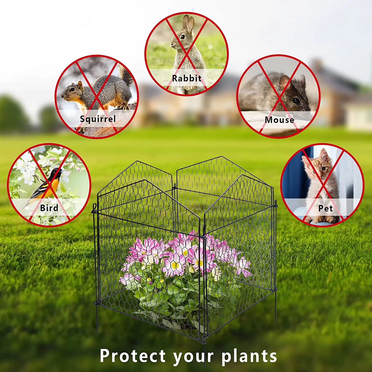 Large Wire Guard Protection Animal Garden Fence Barrier Plant Cage Cloche Cover For Plants Vegetables and Shrubs