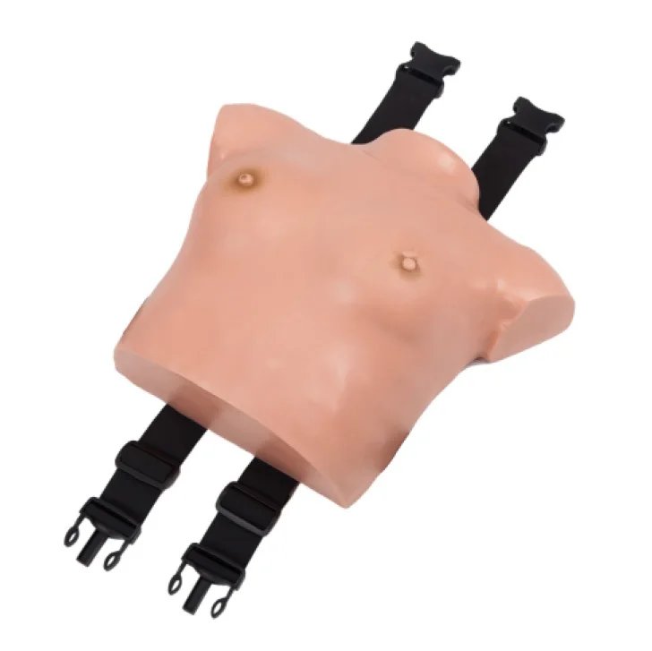 Лидер продаж Реалистичная анатомическая модель яркая для обучения обследования груди