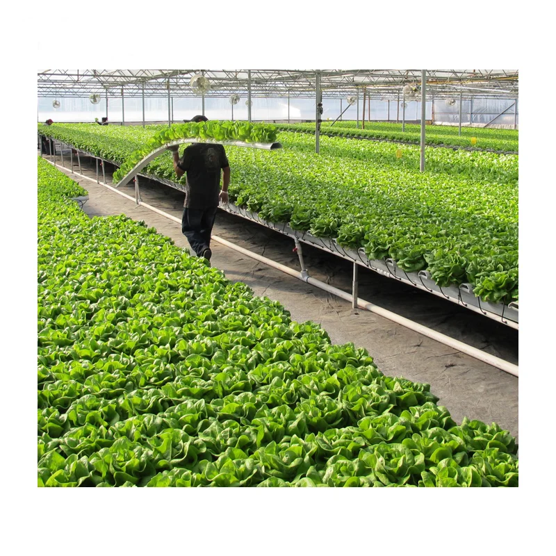 agriculture greenhouse guangzhou growing towers vertical garden hydroponic system