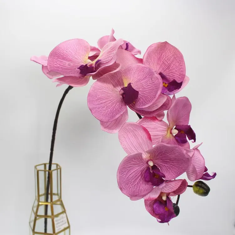 Wholesale Real Touch Phalaenopsis Artificial Flowers Phalaenopsis 10 Head Silk Cloth Home Decoration Wedding Supplies