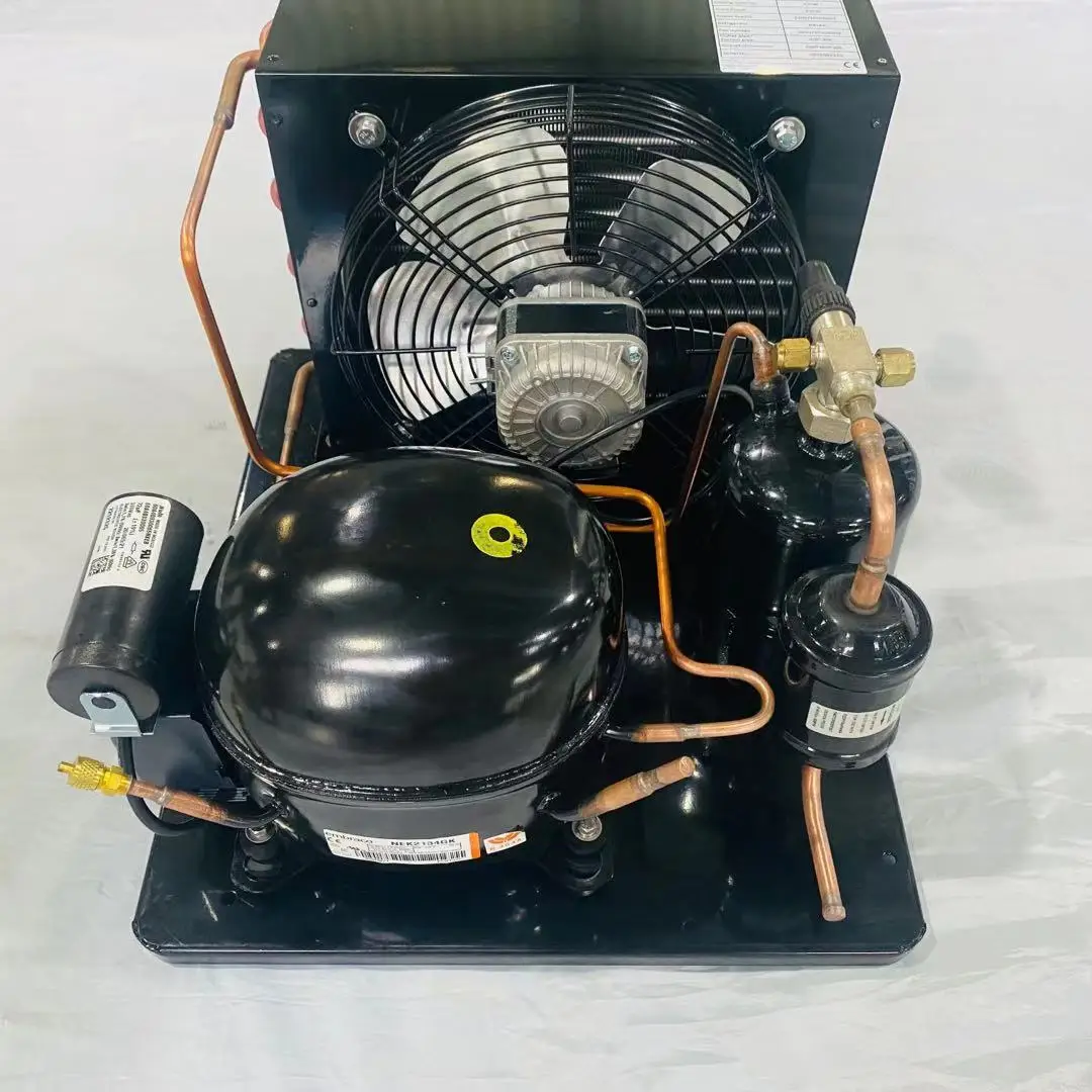 12V/24V DC Freezer condensing unit with various brand compressor