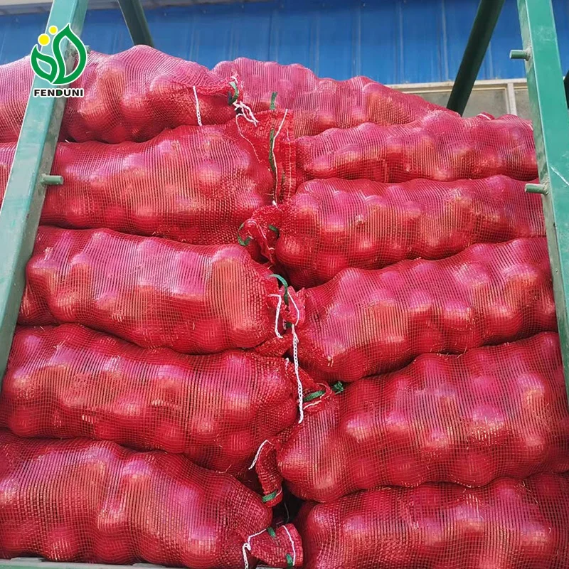 Order 1 ton Fresh Onions / Cebolla Fresca 20KG/25kg Mesh bag, Sizes 40-60-70-80mm With Market Price