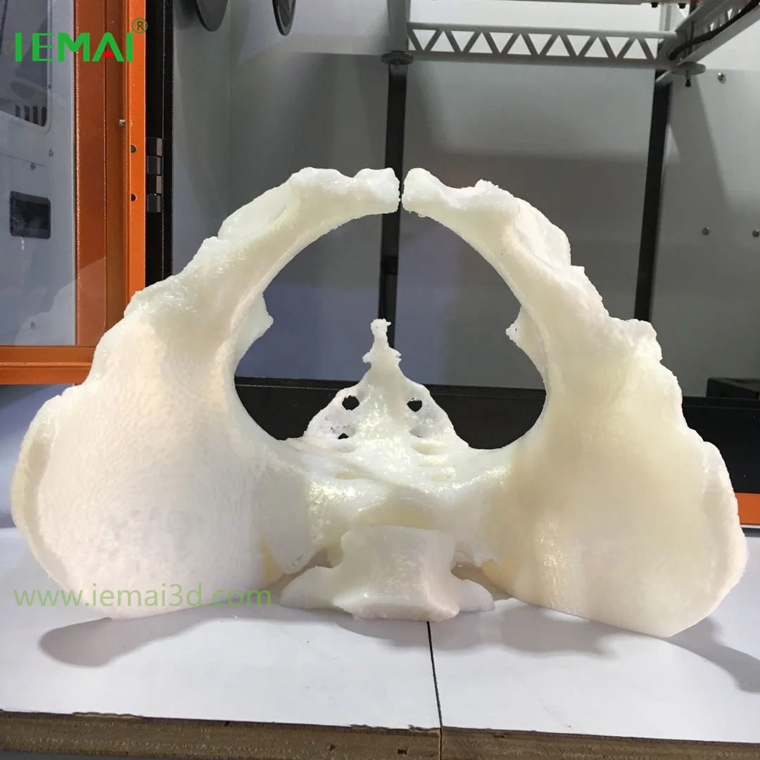 IEMAI MAGIC-L полностью закрытый FDM 3d принтер для точного большого размера печати 310*310*480 мм