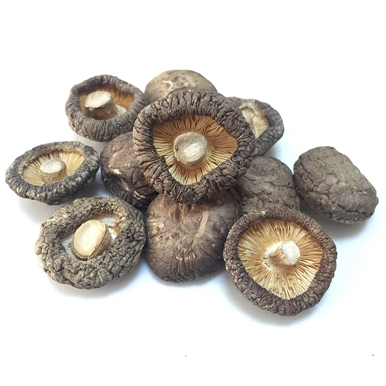 2019 Best Selling Bulk Mushrooms White Or Brown Dried Shiitake Mushroom
