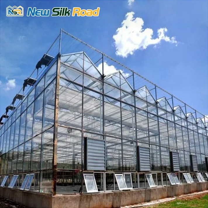 NSR Greenhouse Economical Multi-span Agricultural Glass Morden Greenhouse For Sale