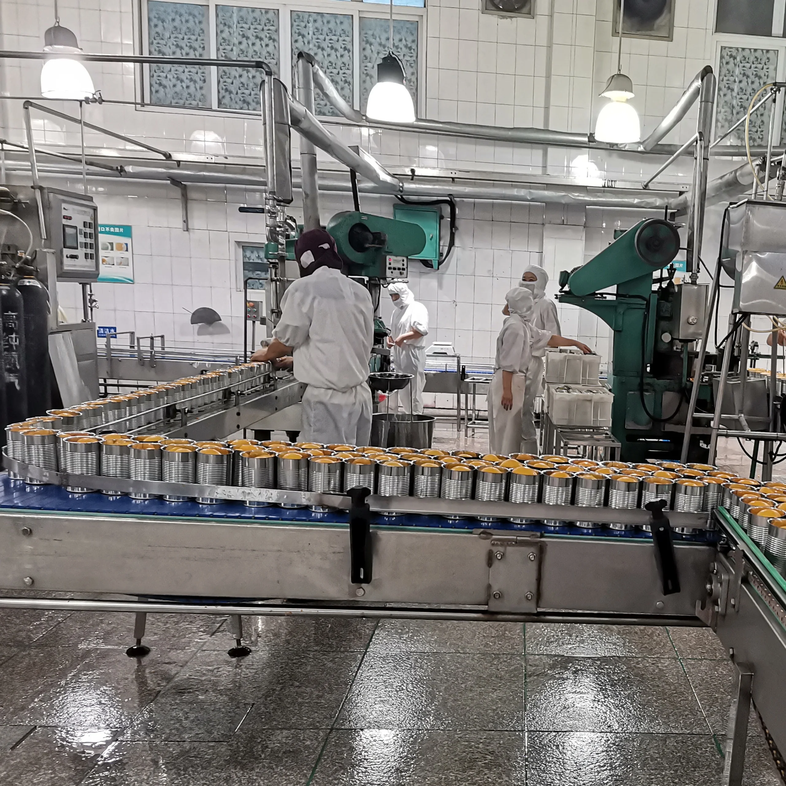 Прямая продажа с завода Лидер продаж кубики персика 6xA10 для тортов консервированные фрукты