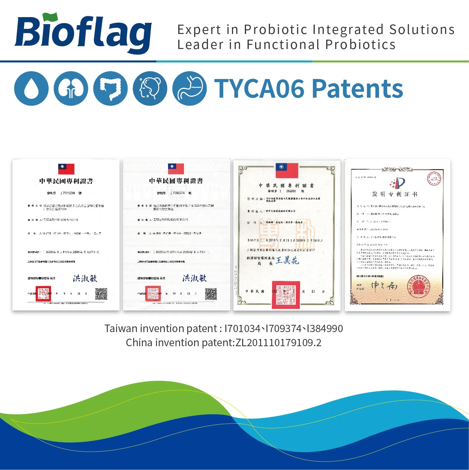 blood sugar control, gut health, kidney health  probiotic Lactobacillus acidophilus TYCA06