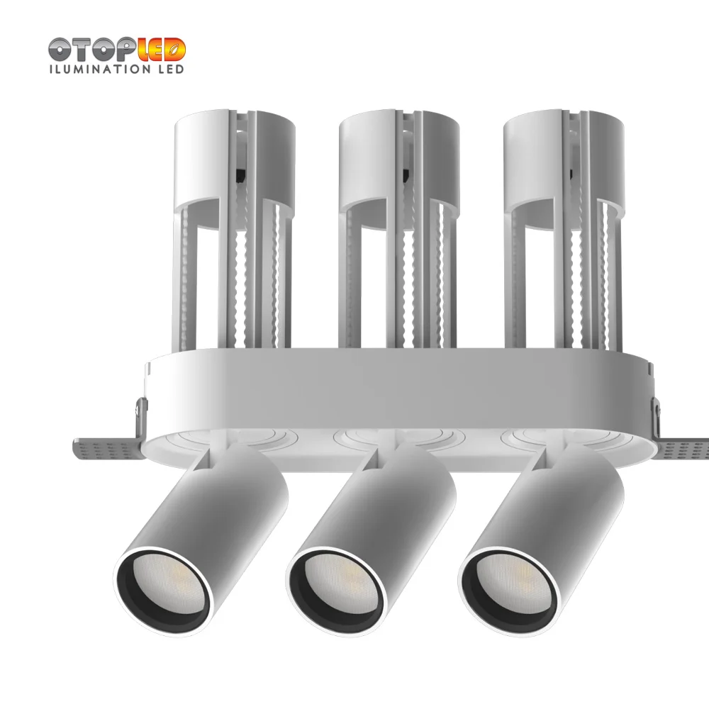 12W Double Rectangular Adjustable Downlight 2019 Hotsale Design for High-grade Place Decoration