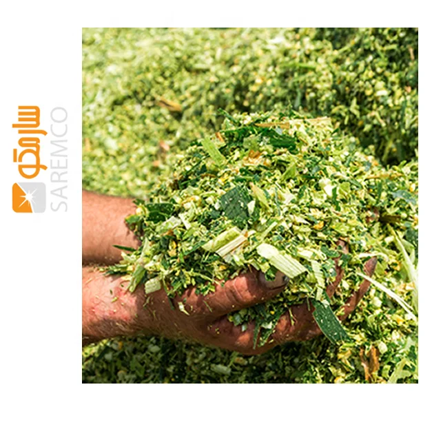 Superior Quality Corn Silage Animal Feed / Bulk Quantities Corn Silage Bags And Competitive Price