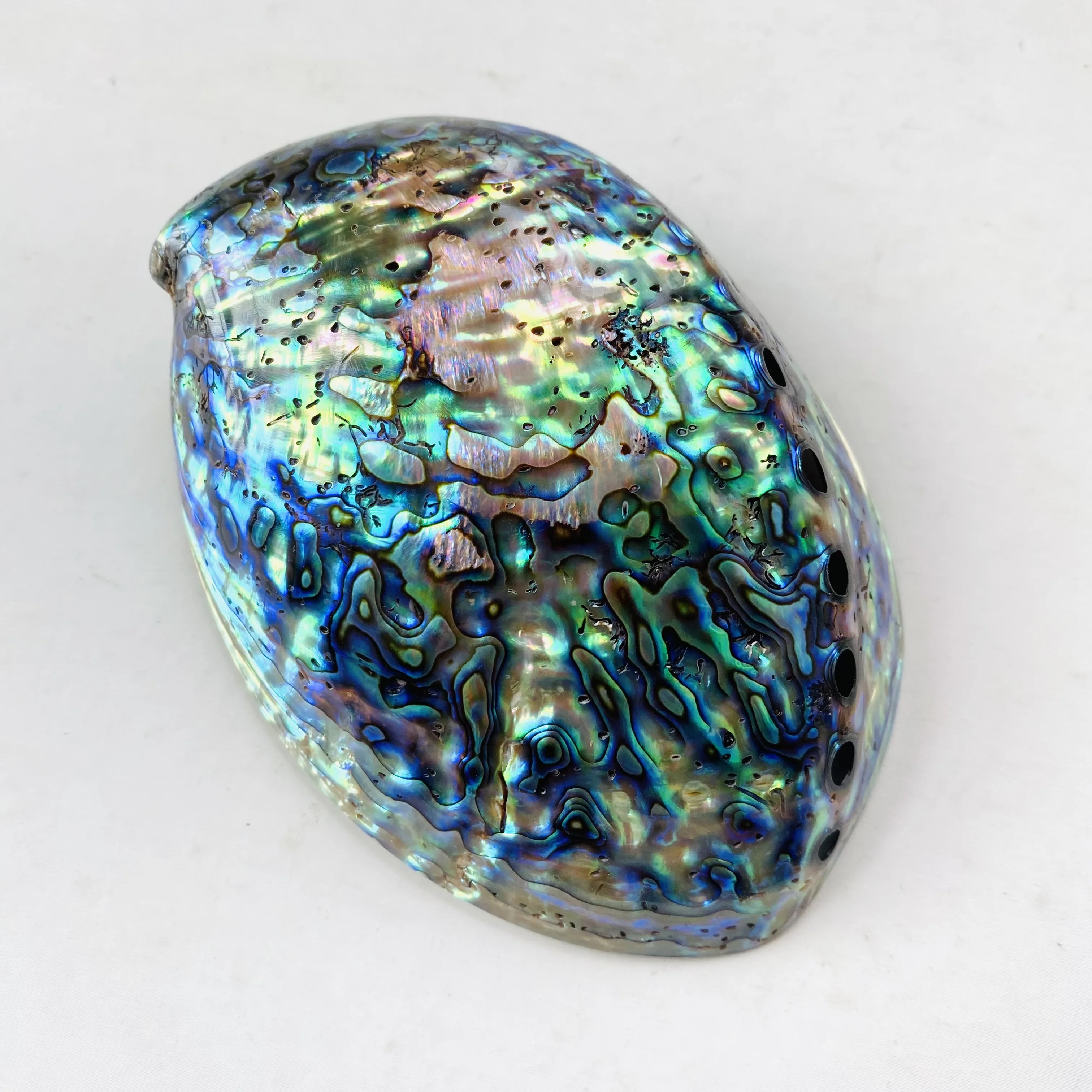 Factory Price Sale Natural Beautiful Big Polished Abalone Shell