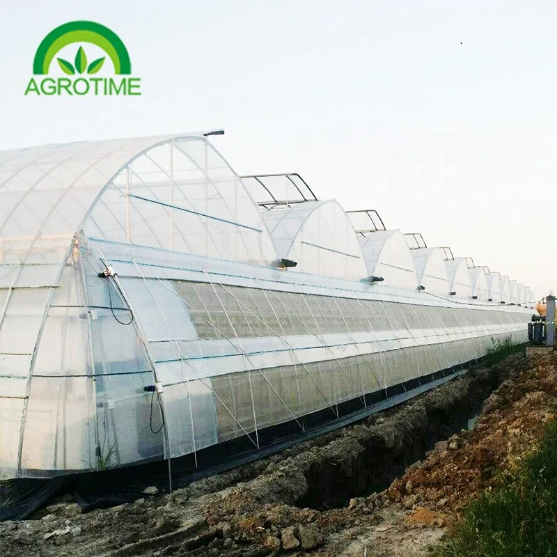 Multi Span Greenhouse Polycarbonate Hydroponics Greenhouse Tunnel