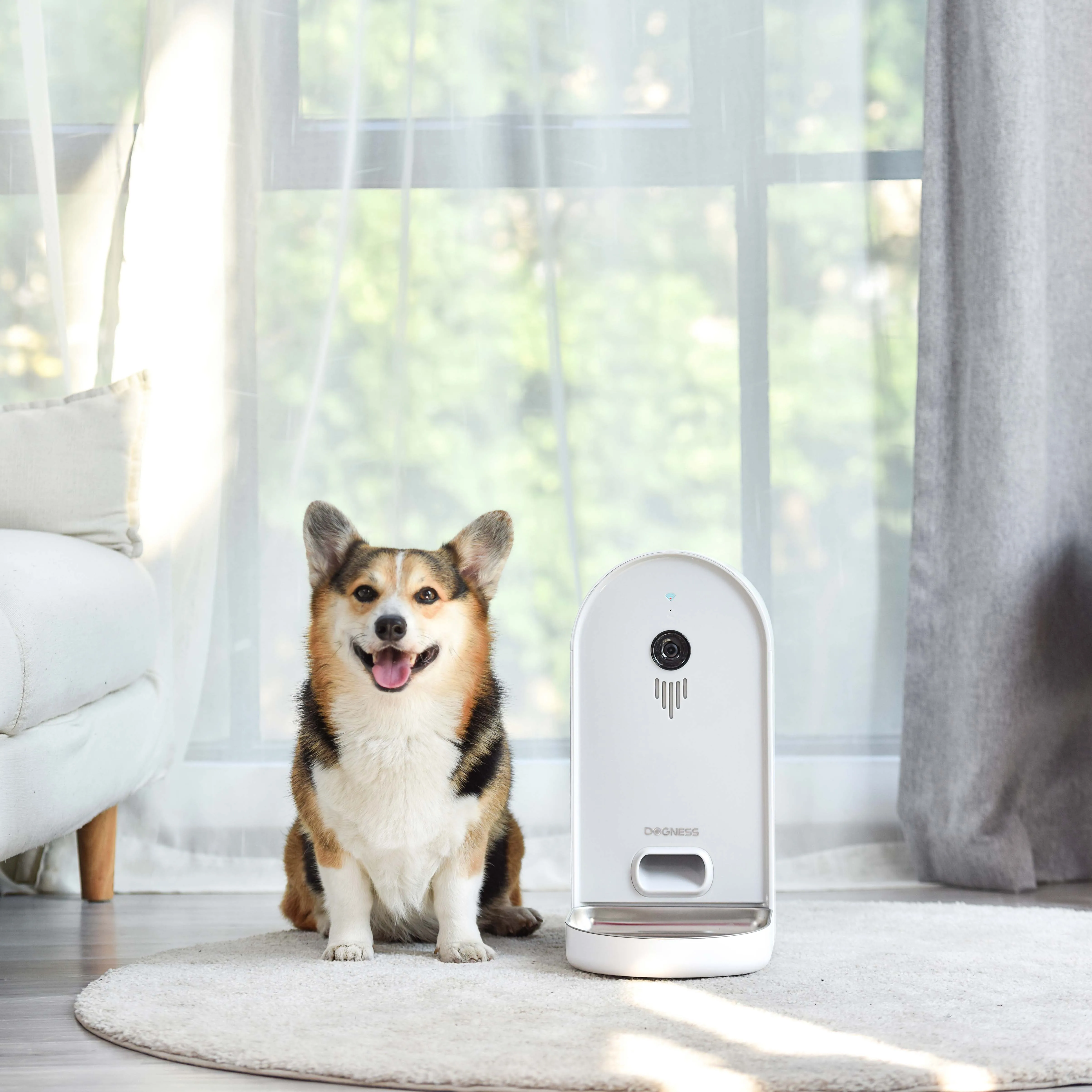 Dogness Amazon Top Sellhomeutomatic Dog Feeder Smart Wifi Automaticfood Dispenser Automatic Pet Feeder Camera BSCI Bowls Modern