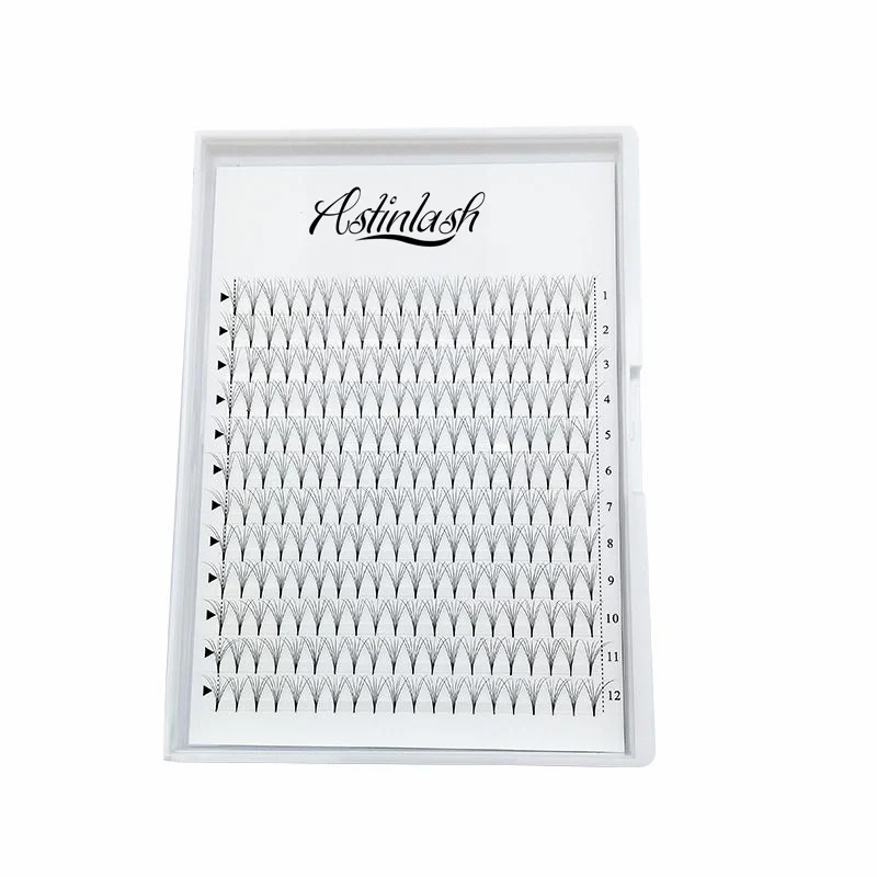 
XL Large Trays Premade Fan Short Steam Lashes Wholesale 12 16 Rows Matte Black Eyelash Volume 5D 6D with Private logo 