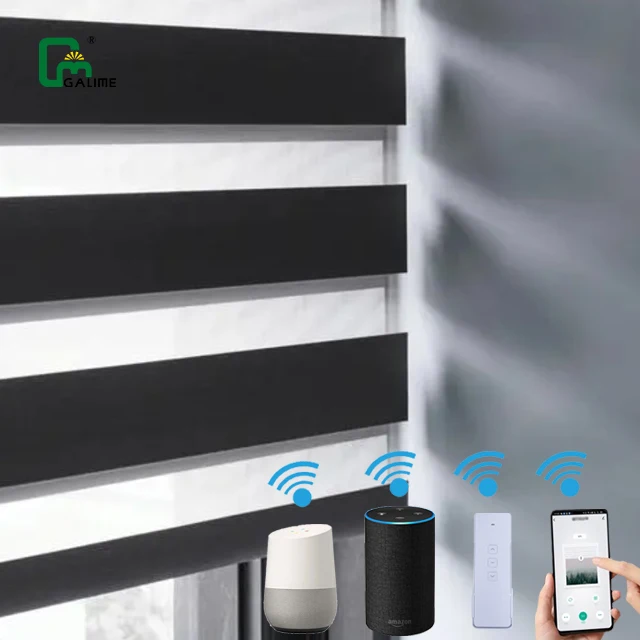 High quality factory price smart electric zebra blind lithium battery motor Alexa Google assistant phone control zebra blinds