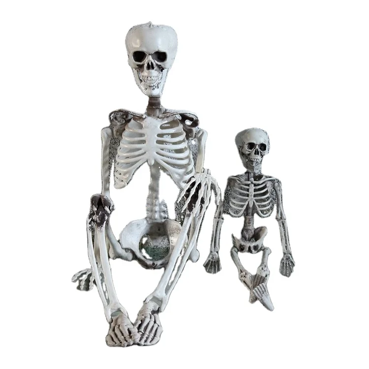 Halloween Horror Anatomy Movable  Skeleton Halloween Props Full Life Size Skeleton Prop Halloween Decoration