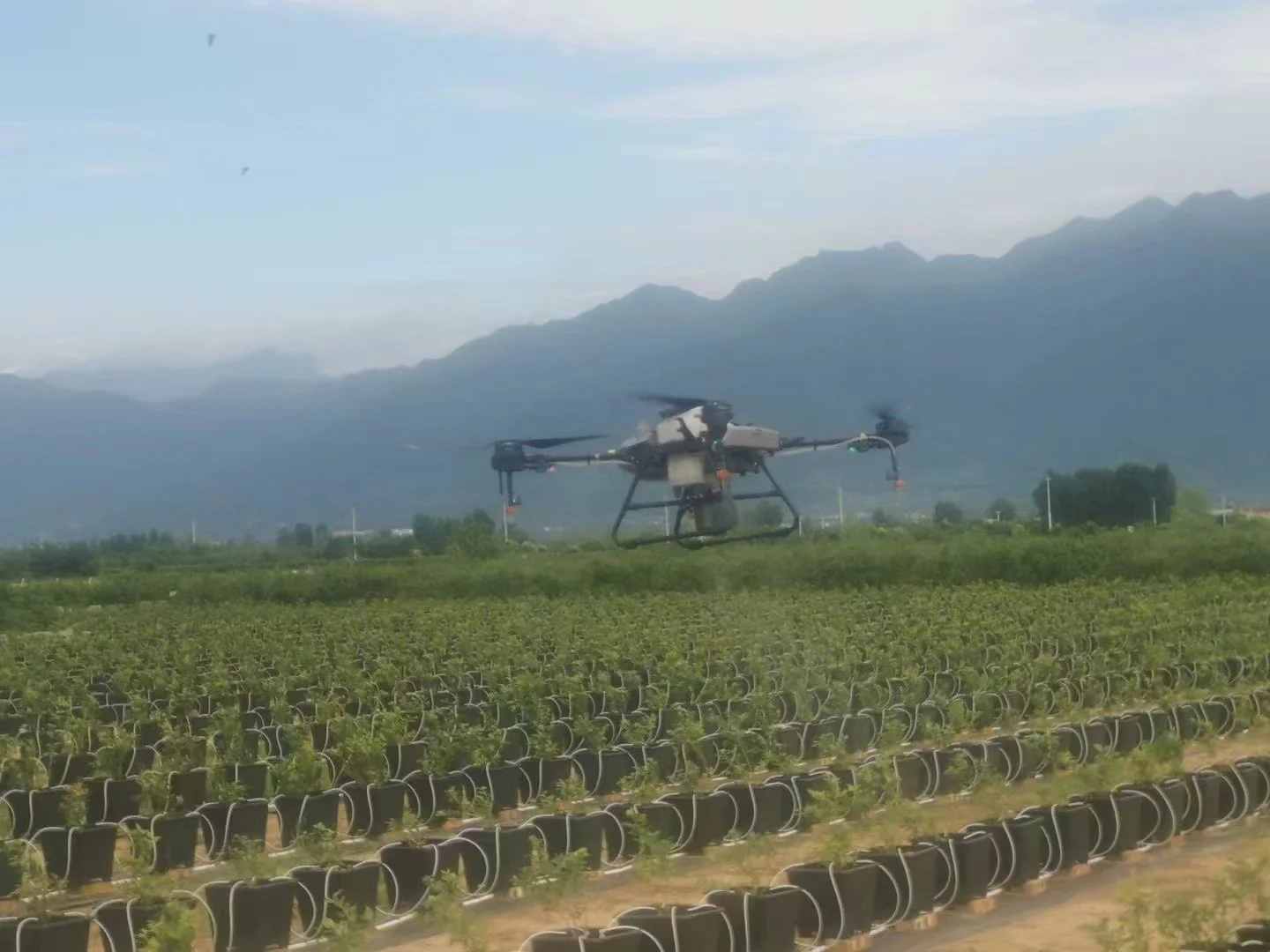 hydroponic kit  blueberry pot commercial greenhouse