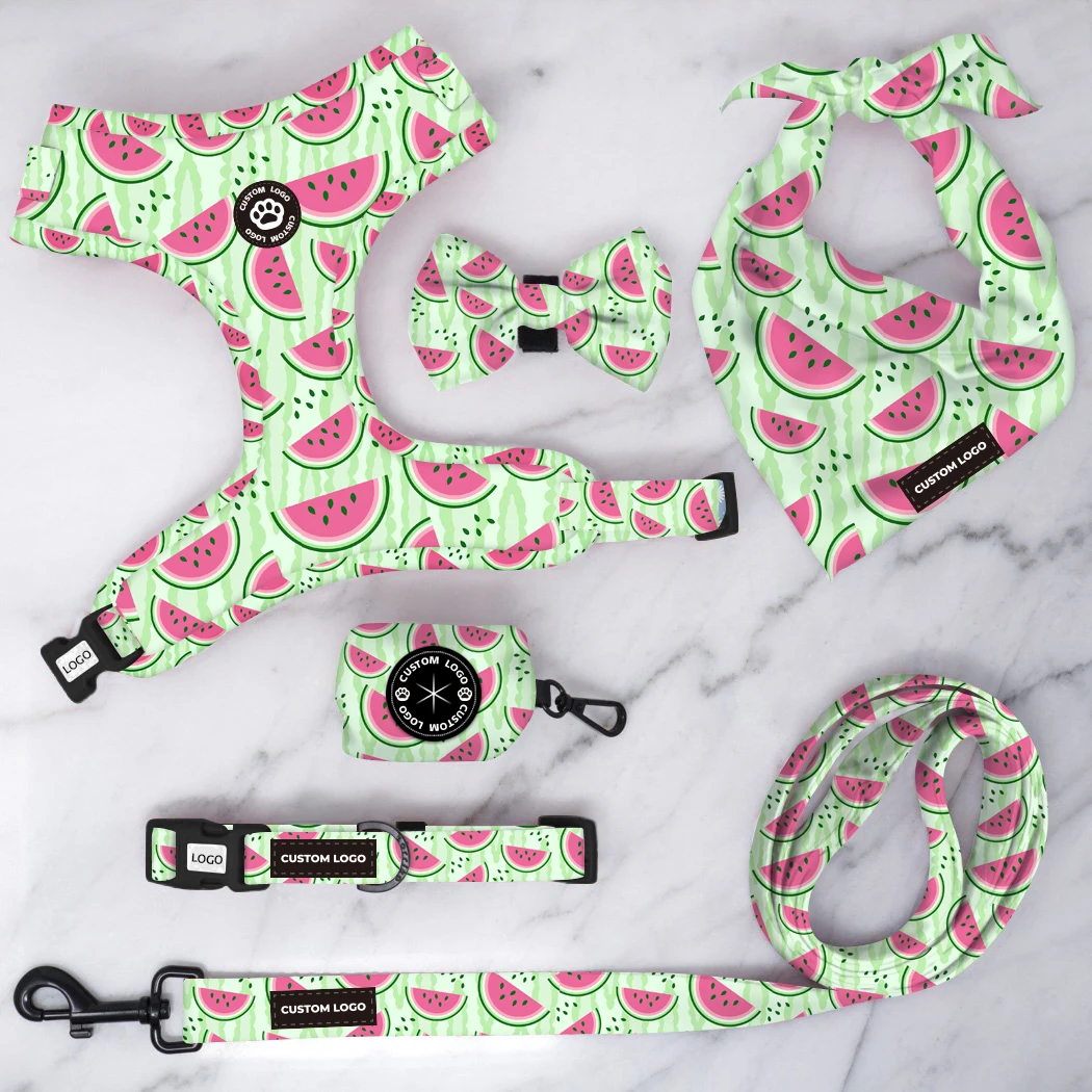 Pet accessories dog harness collar set breathable mesh adjustable harness leash poop bag bandana