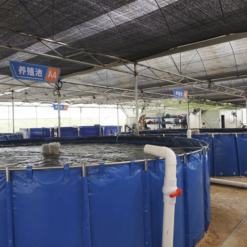 FRP aquaculture fish faming tank and large PP fish tanks for sales