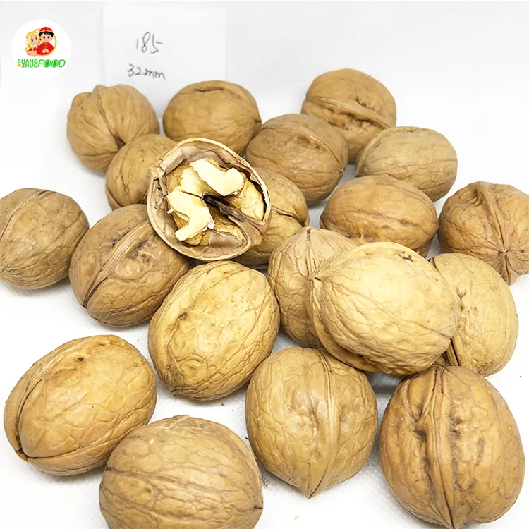 New Crop 185 walnuts without shell walnut in shell with Low Price