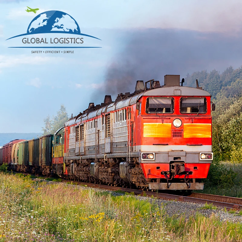 China Shenzhen to Netherlands global international and speedy service DDP door to door delivery sea freight logistic companies