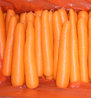 Fresh bulk carrot strip from China price