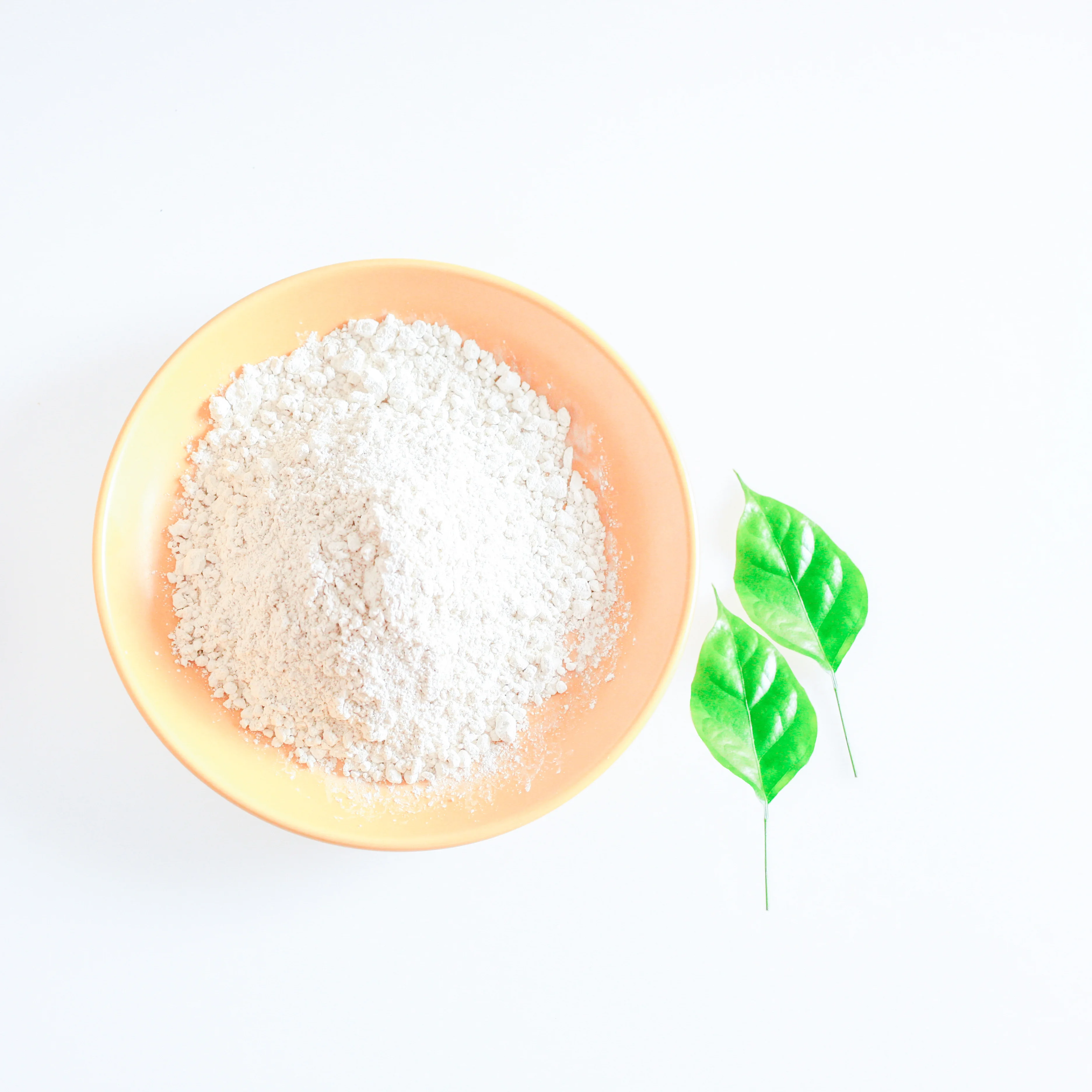 Probiotic manufacturer healthy clostridium butyricum wholesale for human use