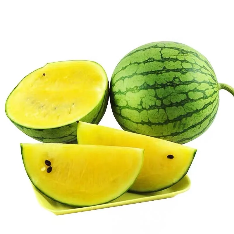 
Chinese Hybrid F1 Best Mini Yellow Watermelon Seed For Planting 2.5 to 3kg Yellow Cindy 