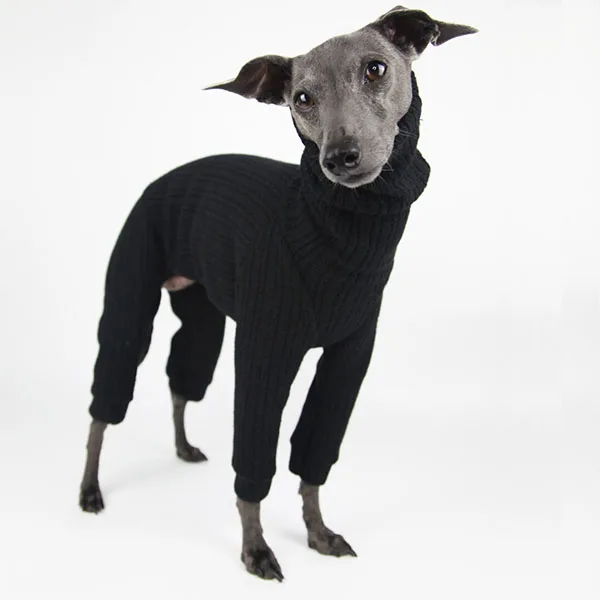 Luxury designer dog clothes Pet winter sweater dog fashion pet clothes gorgeous wooly romper braemar italian greyhound