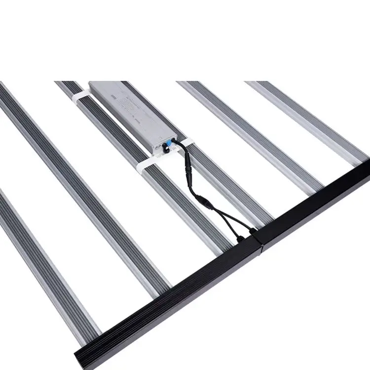 800W IP65 Full Spectrum LED Grow Light 8-Bar LM301H 6500K Blooming Lamp Plant Growing Profesional Iluminao Strawberry