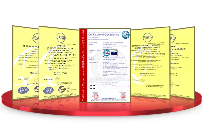 Low price portable medical endoscopy set hd rigid gynecological hysteroscopy camera system