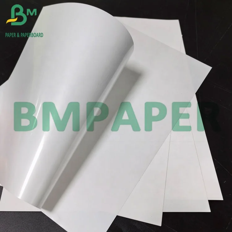 220gsm Top Coated Thermal Synthetic Paper With Hot Melt Thermal PP Roll Paper For Label