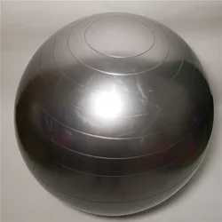 New Professional Grade Yoga Gym Ball 200 Kg Bearing Exercise Equipment For Office & Home & Gym