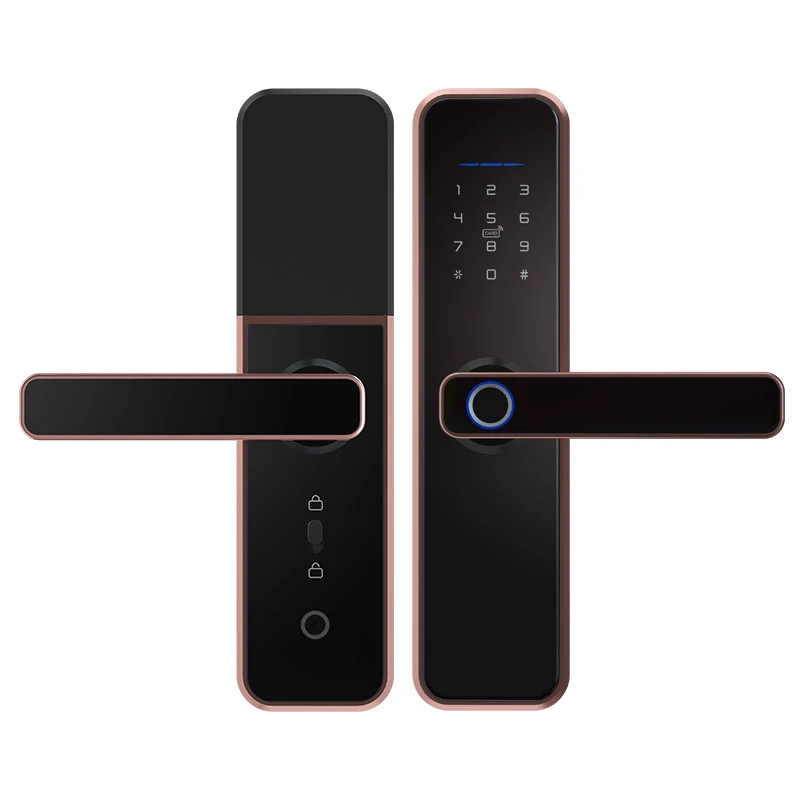 Smart Aluminum Alloy Door Lock Fingerprint Password Magnetic Card TTlockTuya App Remote Door Lock