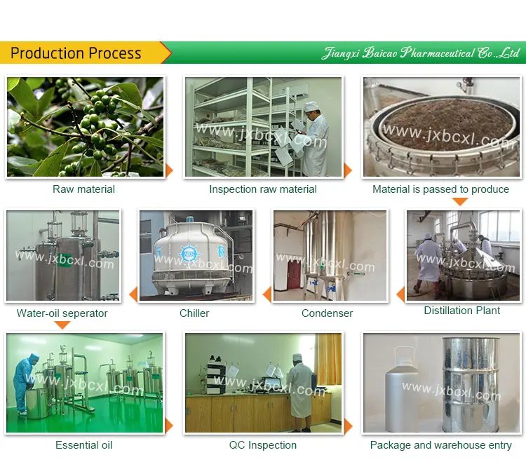 Chinese Traditional Herbal Oil Bulk 1kg Organic May Chang (litsea cubeba) Essential Oil 100% Pure For Aromatherapy