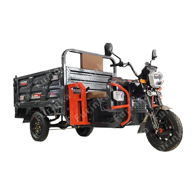 1200w Two Seats Motorized Pedal Petrol Cheap Electricycle Adult Passenger Vehicles Three Wheel Cargo Tricycle