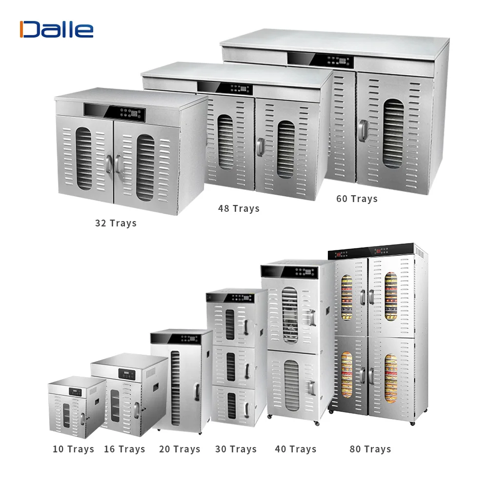  Горячая Распродажа двухслойная сушилка для пищевых продуктов из нержавеющей стали с 10 лотками