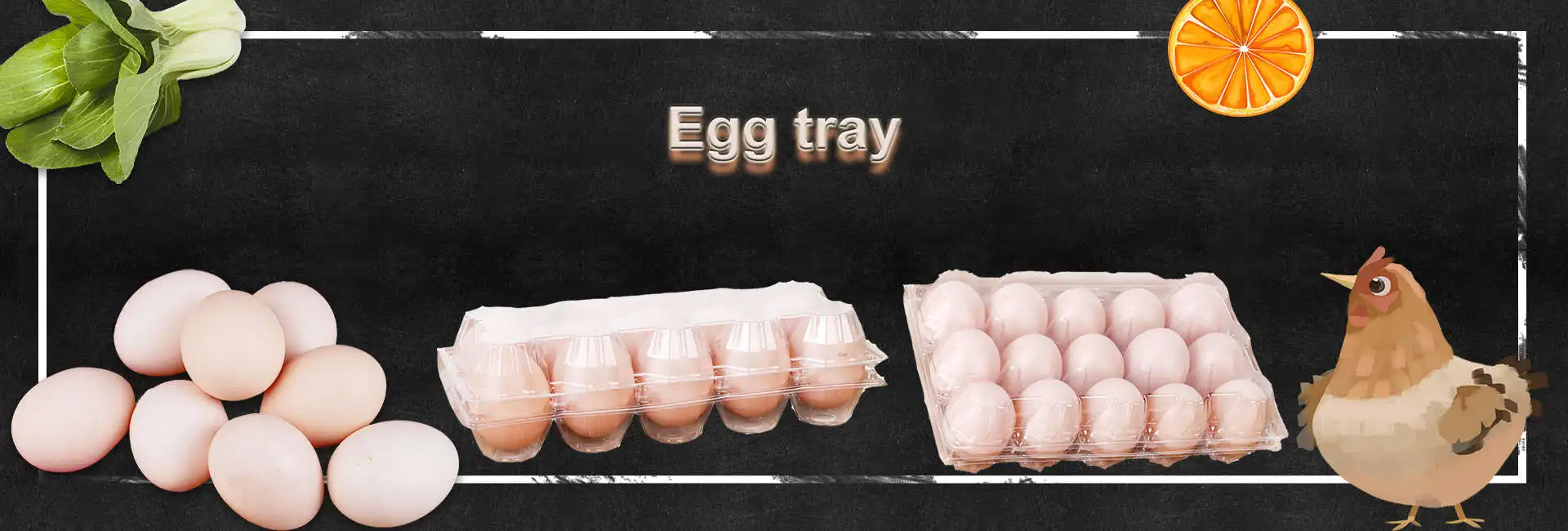 Transparent Blister Process Plastic Egg Tray Cartons With 30 Holes