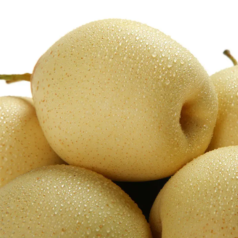 
Chinese fresh sweet Su pear 