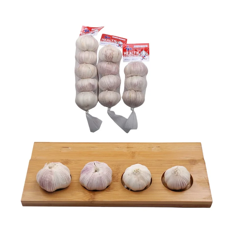 5.5 Cm Factory Pure White Fresh Garlic Price/ Bulk Garlic For Sale/ Garlic From China
