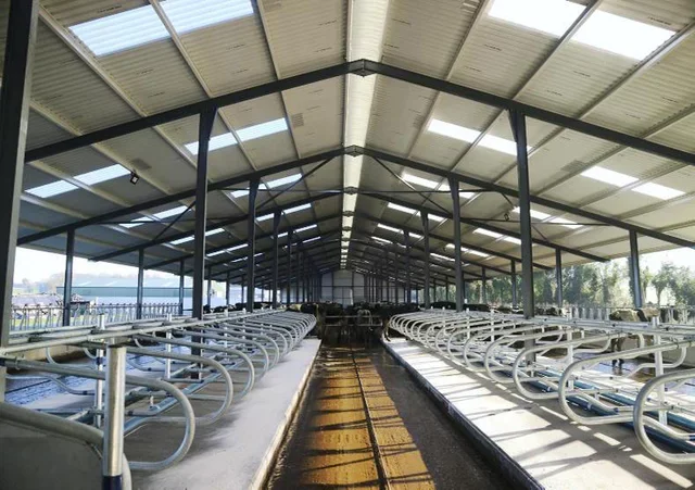 BJYC Low price steel frame iron building chicken house for sale