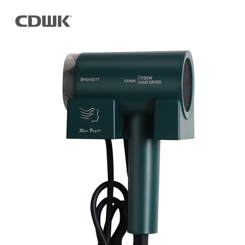 CDWK 2022 cheapest negative ion hair drier wall hair dryer ionic