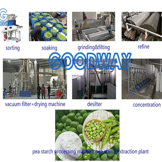full stainless steel  pea Starch Processing cassava starch processing