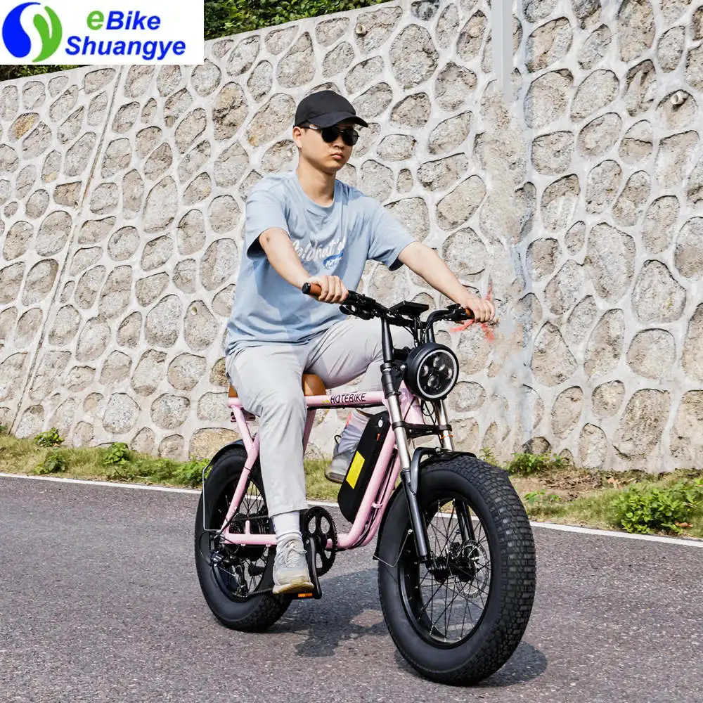 Super dual motor vintage retro 20 inch fat tire 500W /1000W motor long range 7 speed e bike 73 electric hybrid bike