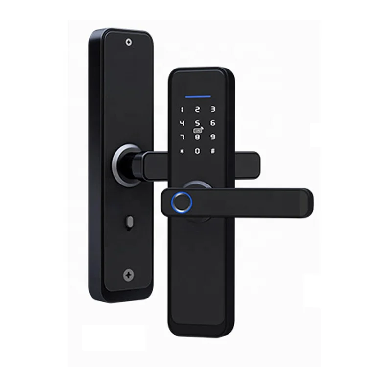 Modern Password Card Wifi Remote Control Biometric Electronic Double Sided Smart Gate Lock