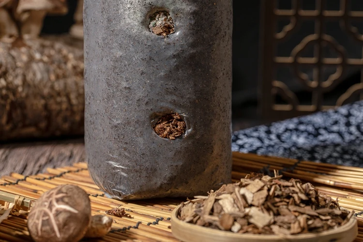 Cheap Wholesale Mixed Ingredients Shiitake Mushroom Spawn Logs